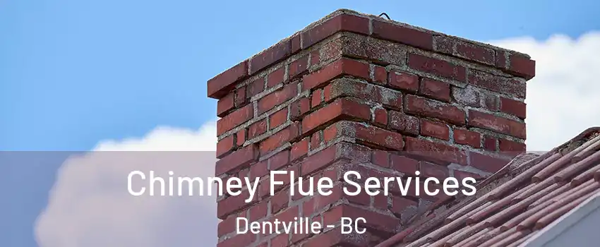  Chimney Flue Services Dentville - BC