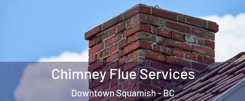  Chimney Flue Services Downtown Squamish - BC
