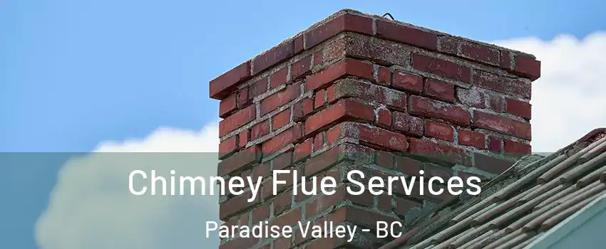  Chimney Flue Services Paradise Valley - BC