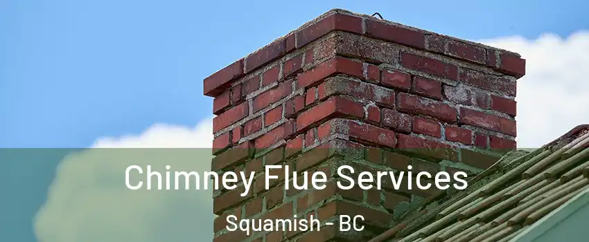  Chimney Flue Services Squamish - BC