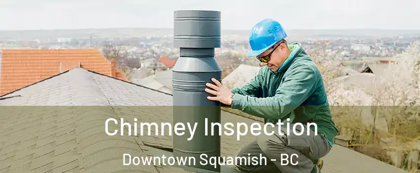  Chimney Inspection Downtown Squamish - BC