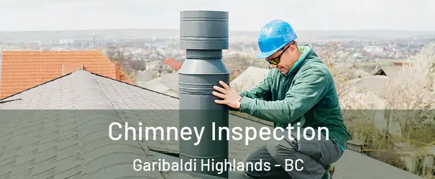  Chimney Inspection Garibaldi Highlands - BC