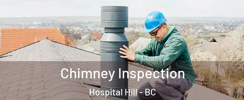  Chimney Inspection Hospital Hill - BC