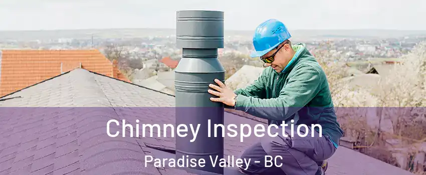  Chimney Inspection Paradise Valley - BC