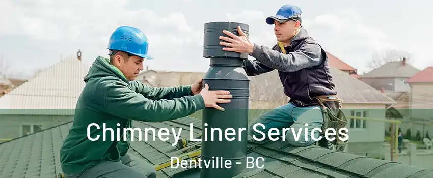  Chimney Liner Services Dentville - BC