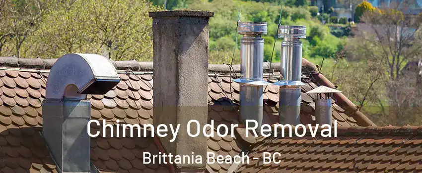  Chimney Odor Removal Brittania Beach - BC