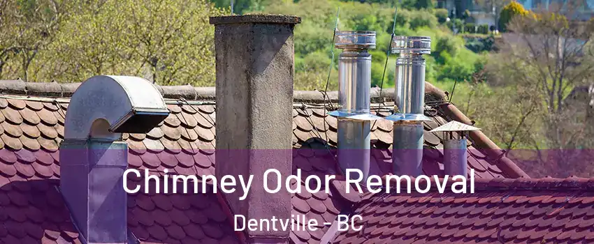  Chimney Odor Removal Dentville - BC