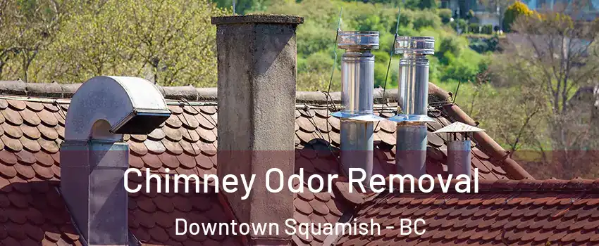  Chimney Odor Removal Downtown Squamish - BC