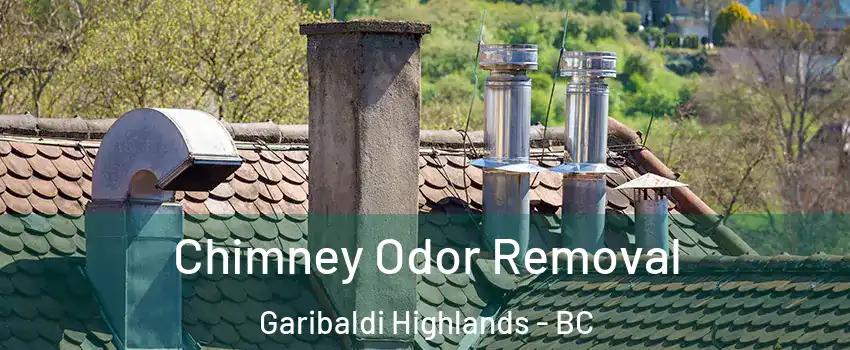  Chimney Odor Removal Garibaldi Highlands - BC