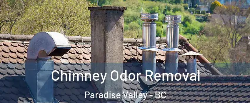  Chimney Odor Removal Paradise Valley - BC