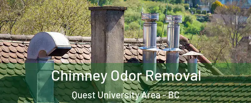  Chimney Odor Removal Quest University Area - BC
