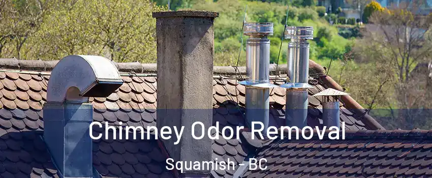 Chimney Odor Removal Squamish - BC