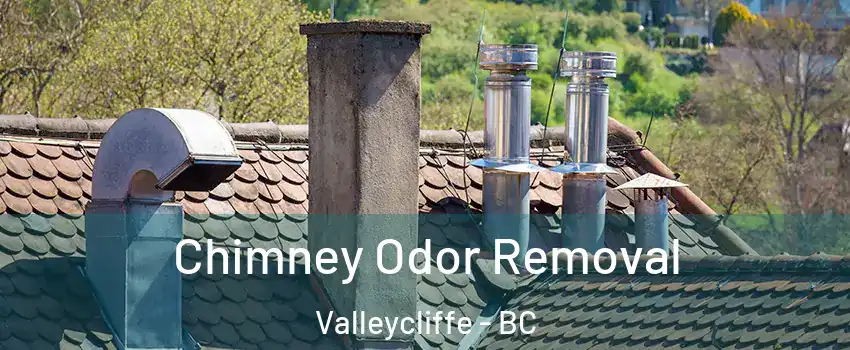  Chimney Odor Removal Valleycliffe - BC