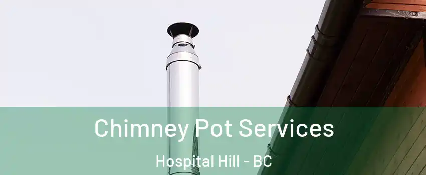  Chimney Pot Services Hospital Hill - BC