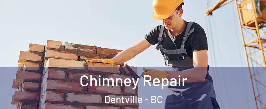  Chimney Repair Dentville - BC