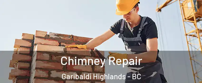  Chimney Repair Garibaldi Highlands - BC