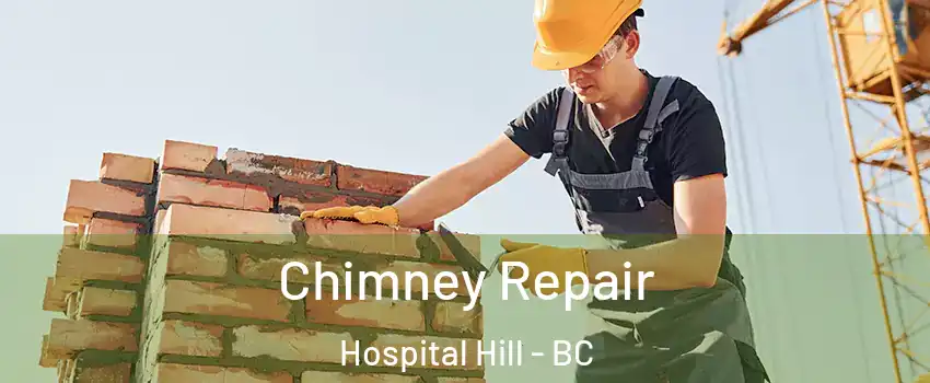  Chimney Repair Hospital Hill - BC