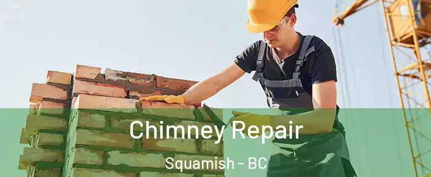  Chimney Repair Squamish - BC