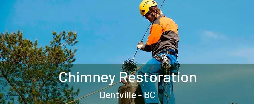  Chimney Restoration Dentville - BC