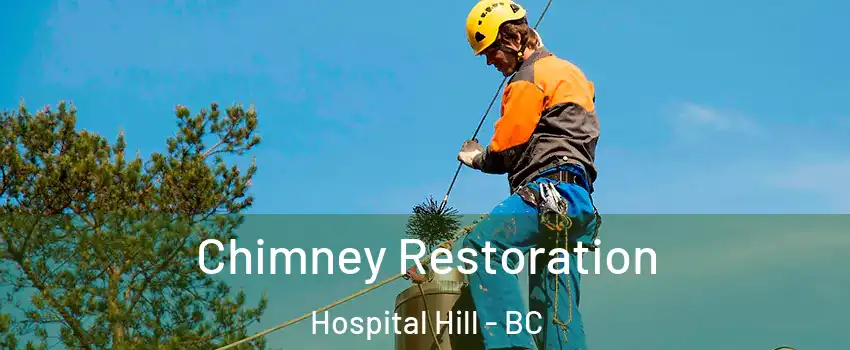  Chimney Restoration Hospital Hill - BC