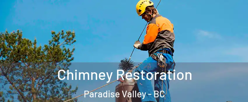  Chimney Restoration Paradise Valley - BC