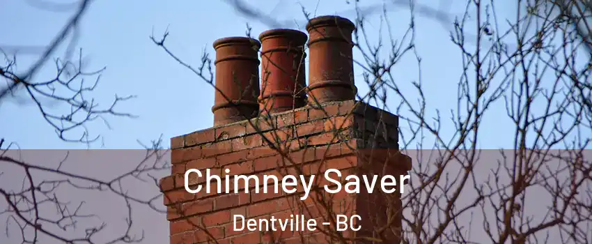  Chimney Saver Dentville - BC