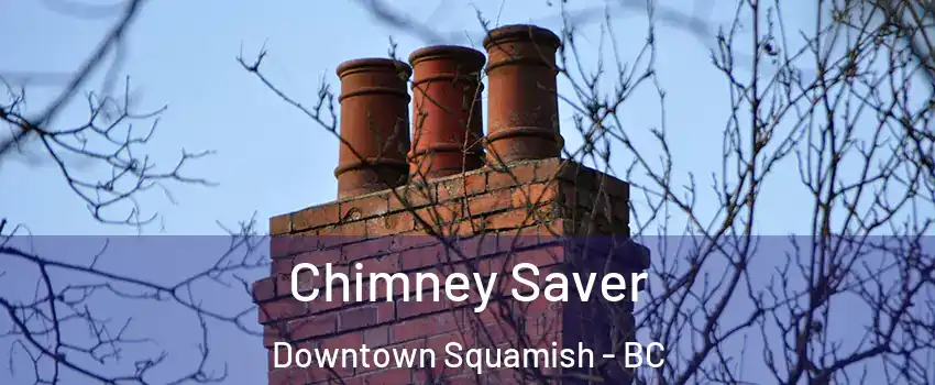  Chimney Saver Downtown Squamish - BC