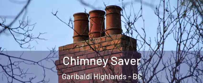  Chimney Saver Garibaldi Highlands - BC