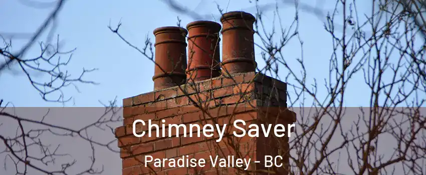 Chimney Saver Paradise Valley - BC