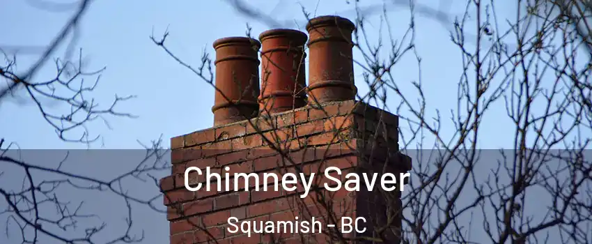  Chimney Saver Squamish - BC