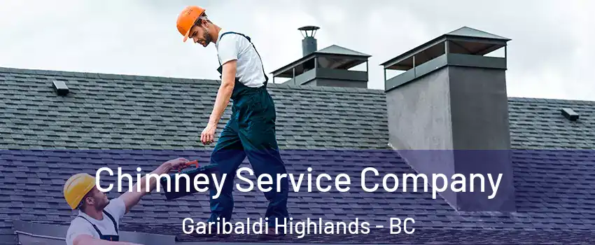  Chimney Service Company Garibaldi Highlands - BC