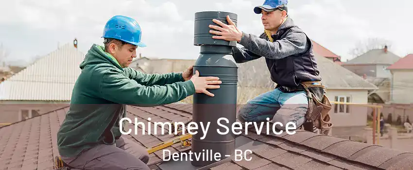  Chimney Service Dentville - BC