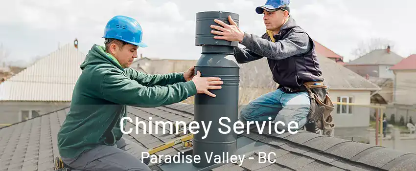  Chimney Service Paradise Valley - BC
