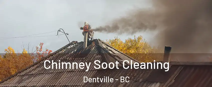  Chimney Soot Cleaning Dentville - BC
