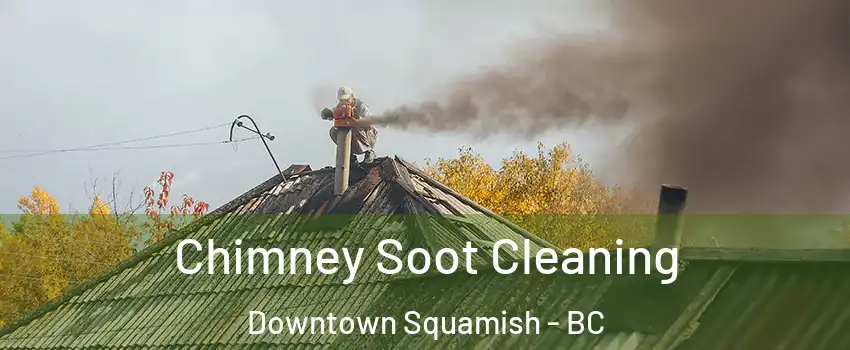  Chimney Soot Cleaning Downtown Squamish - BC