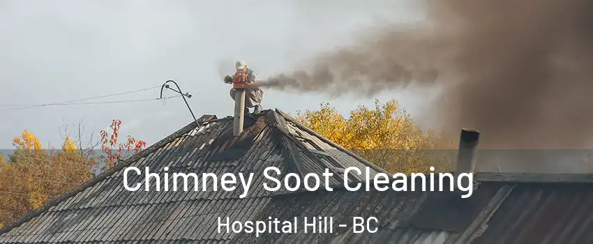  Chimney Soot Cleaning Hospital Hill - BC
