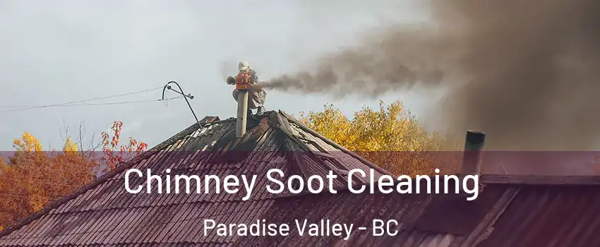  Chimney Soot Cleaning Paradise Valley - BC
