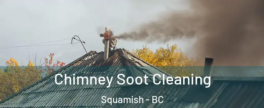  Chimney Soot Cleaning Squamish - BC