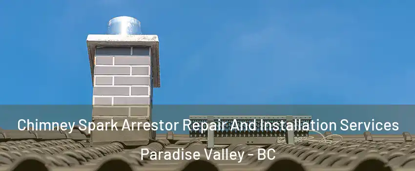  Chimney Spark Arrestor Repair And Installation Services Paradise Valley - BC