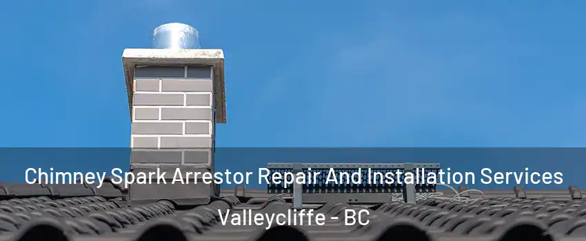  Chimney Spark Arrestor Repair And Installation Services Valleycliffe - BC