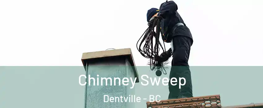  Chimney Sweep Dentville - BC