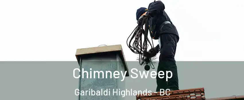  Chimney Sweep Garibaldi Highlands - BC