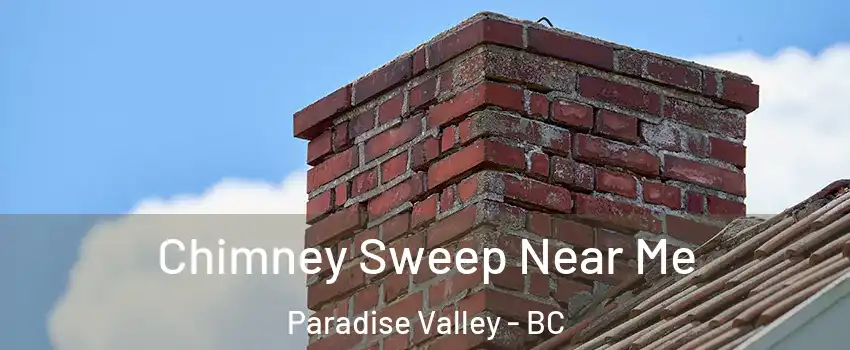  Chimney Sweep Near Me Paradise Valley - BC