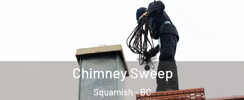  Chimney Sweep Squamish - BC