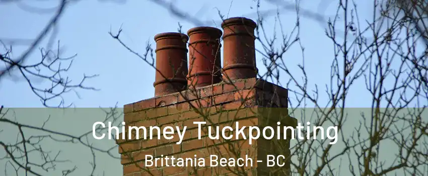  Chimney Tuckpointing Brittania Beach - BC