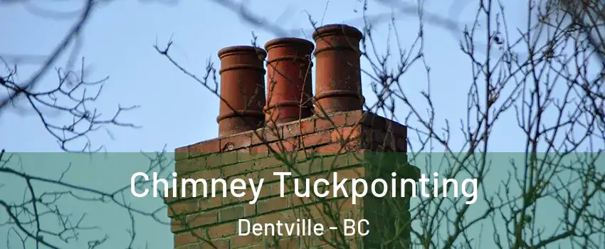  Chimney Tuckpointing Dentville - BC