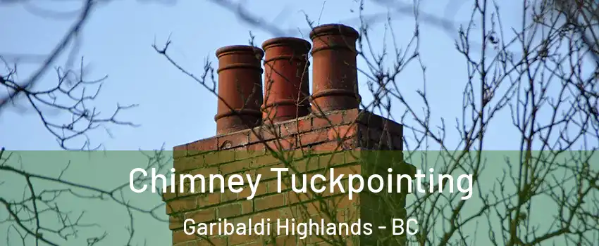  Chimney Tuckpointing Garibaldi Highlands - BC