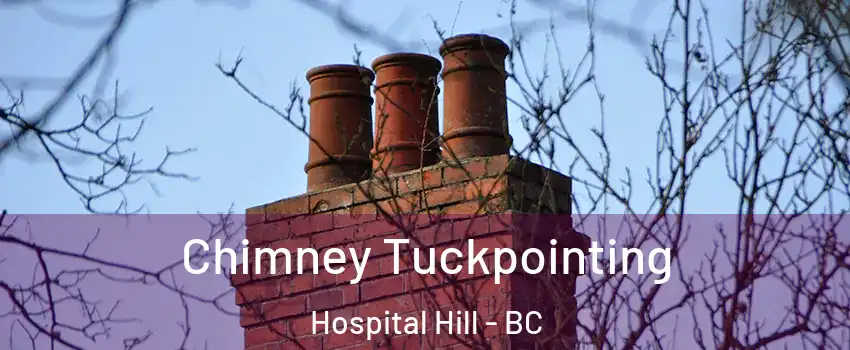  Chimney Tuckpointing Hospital Hill - BC