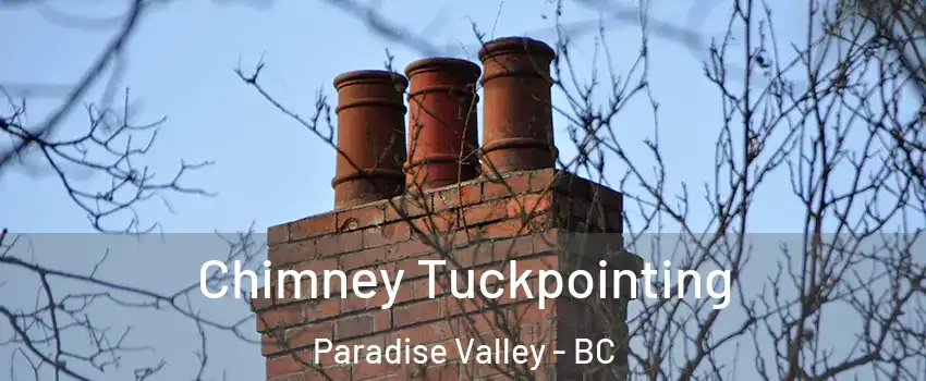  Chimney Tuckpointing Paradise Valley - BC