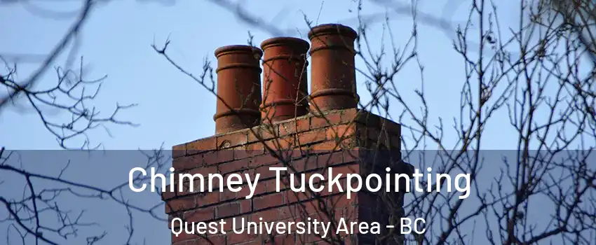  Chimney Tuckpointing Quest University Area - BC